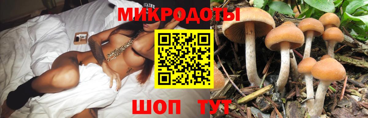 Кириши  Псилоцибиновые грибы мухоморы  Вход с VPN 